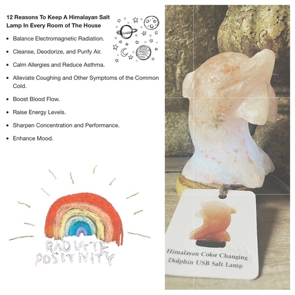 Boutique Other - Himalayan Salt Dolphin Lamp